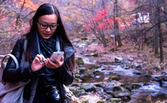 国国内清清草原女V